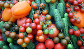 Стали известны самые популярные у россиян семена овощей и зелени